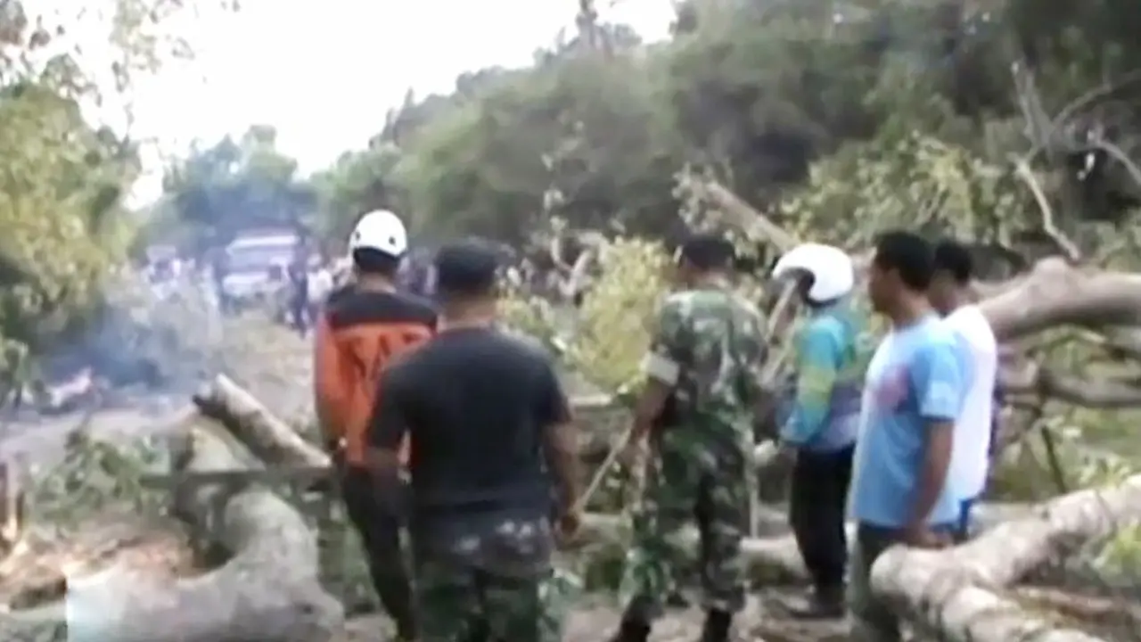 (Lip6 Siang) Pohon-Tumbang