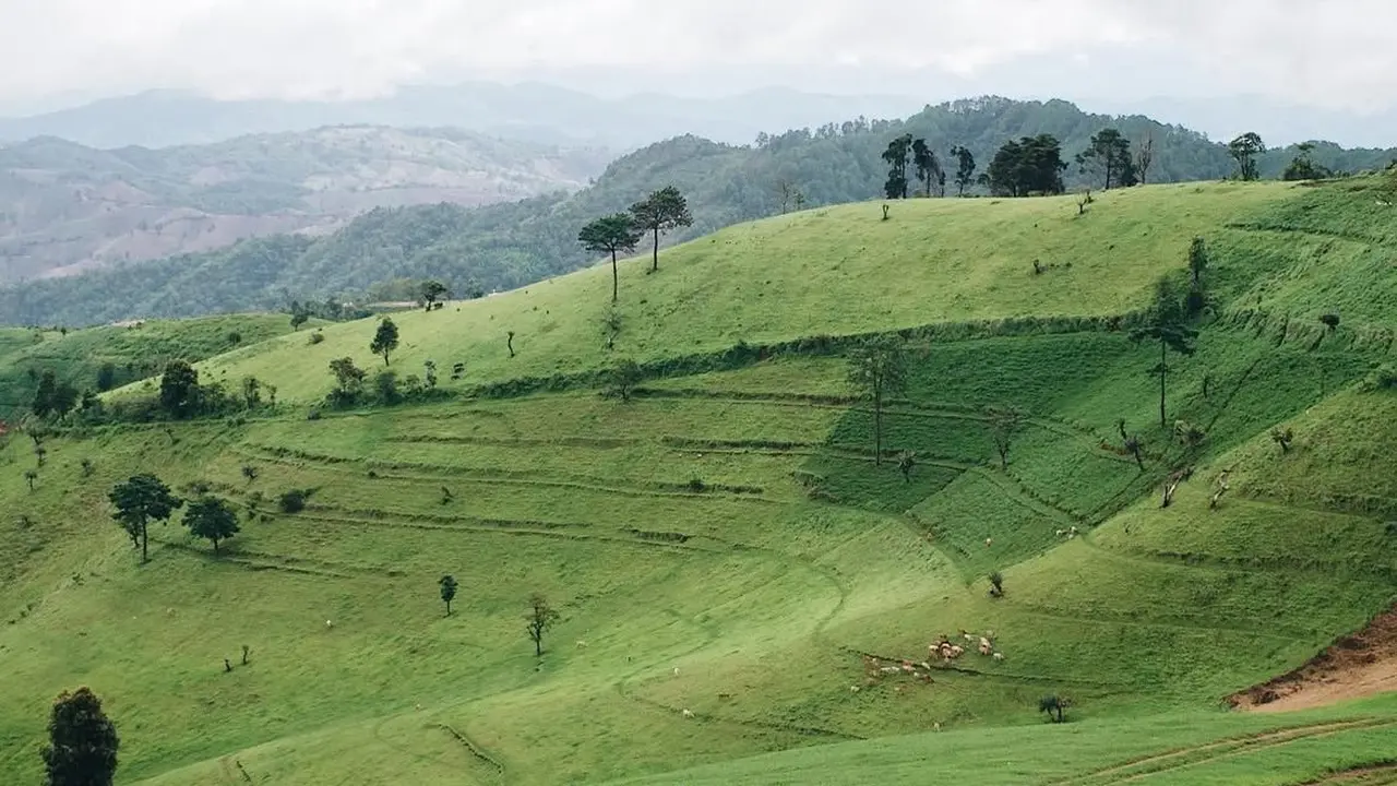 Gunung Doi Mae Tho di Thailand