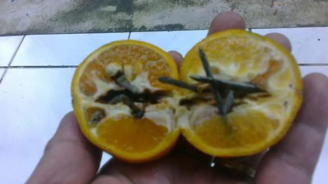 Aksi Tambal Ban Nakal: Dari Sebar Paku hingga Ranjau Jeruk