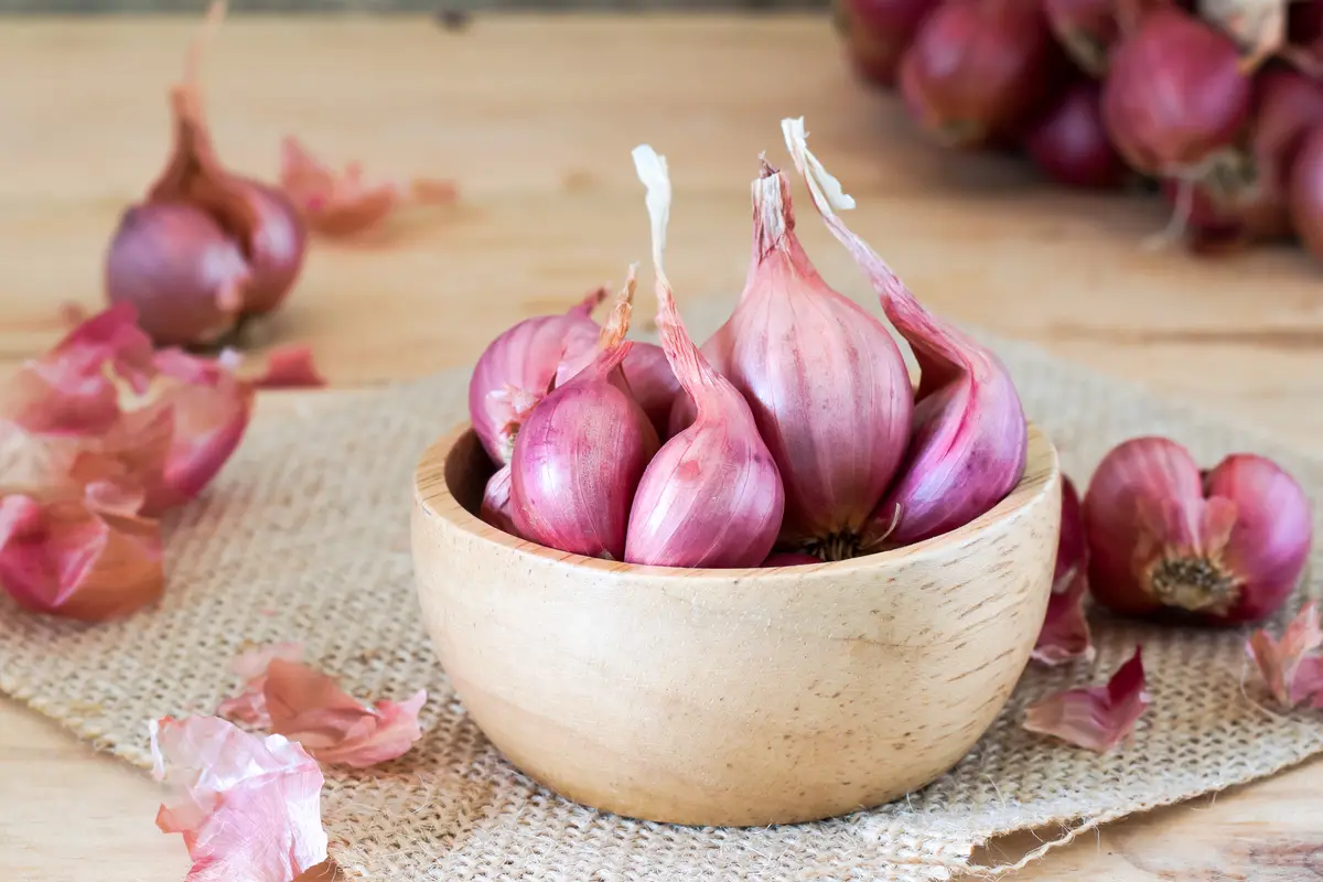 bawang merah