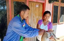 Tahukah Anda? Lebih dari Separuh HPR di Manggarai Barat Telah Divaksinasi Rabies, Jaga Labuan Bajo dari Ancaman Penyakit