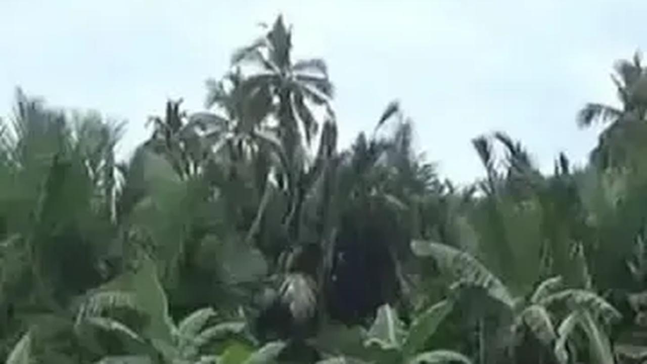 Tangani Elnino, Grobogan Andalkan Irigasi Perpompaan dan Perpipaan