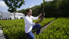 Presiden Indonesia Joko Widodo menanam pohon mangrove dalam rangkaian agenda pertemuan KTT G20, di Hutan Mangrove Taman Hutan Raya Ngurah Rai, Denpasar, Bali, Indonesia, Rabu (16/11/2022). Agenda di Taman Hutan Raya Mangrove Ngurah Rai Bali merupakan bagian dari tema yang dipilih Presiden Joko Widodo dalam pelaksanaan KTT soal menangani krisis iklim. (AP Photo/Alex Brandon via Pool)