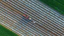 Petani menggunakan traktor menanam kacang tanah di sebuah ladang di Liaocheng, China (19/4). Liaocheng atau dikenal sebagai Kota Air, adalah kota tingkat prefektur di provinsi Shandong barat, China. (AFP Photo/China Out)