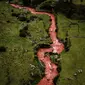 Sungai merah di Peru, disebut Palquella Pucamayu. (Instagram/@hiltondavila)