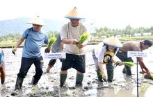Pemprov Sulut Genjot Produksi Pangan dengan Distribusi Lahan Pertanian 2.000 Hektare