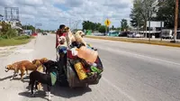 Sikap mulia yang dilakukan pria asal Meksiko ini adalah dengan memungut dan merawat anjing-anjing liar yang terlantar di jalan sambil berkeliling dunia.