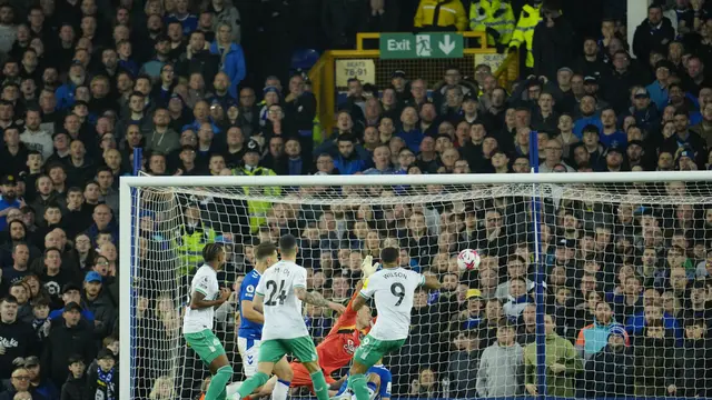 Hasil Liga Inggris: Newcastle Menang Telak di Markas Everton