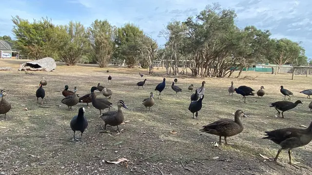 Moonlit Sanctuary Wildlife Conservation Park
