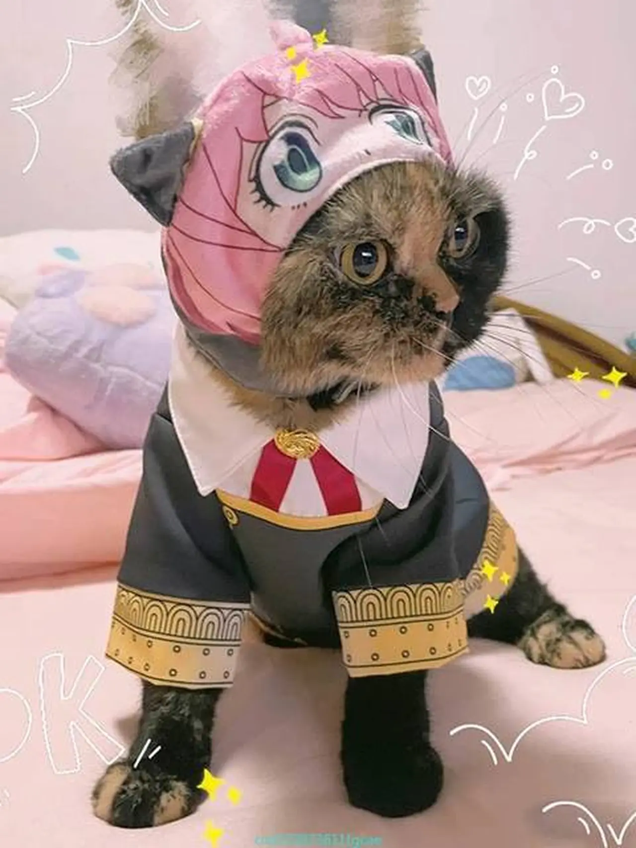 10 Potret Lucu Kucing Cosplay Karakter Anime Ini Bikin Gemas