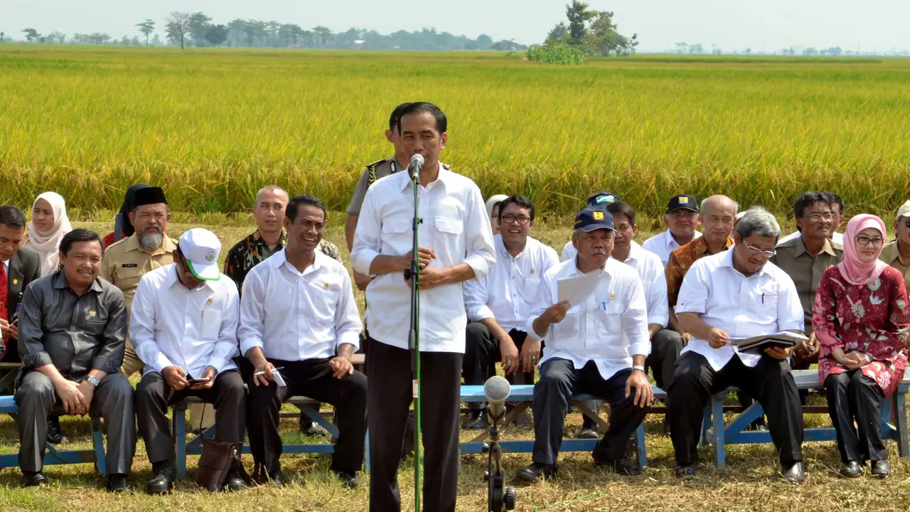 Jokowi Hadiri Panen Raya di Indramayu