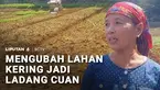 Air bersih selalu jadi barang langka saat musim kemarau tiba. Di Sikka, NTT, warga harus melubangi tanah dengan tangan kosong untuk mendapatkan air. Lain lagi di Ciamis, kondisi danau yang mengering dimanfaatkan petani untuk menyulap lahan yang kerin...