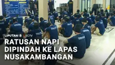 Ratusan narapidana dari sejumlah lapas di lima wilayah dipindahkan ke Lapas Nusakambangan, Cilacap, Jawa Tengah, pada Rabu pagi.