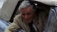 Jacqueline Falk, Peter Falk's Adopted Daughter, Dies by Suicide