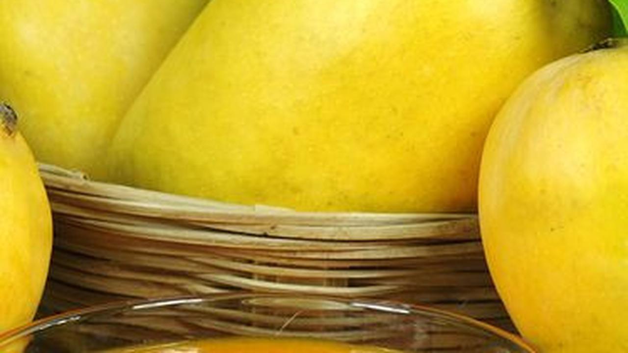 7 Manfaat Buah Mangga Bagi Tubuh, Salah Satunya Bermanfaat Bagi Kesehatan Seksual