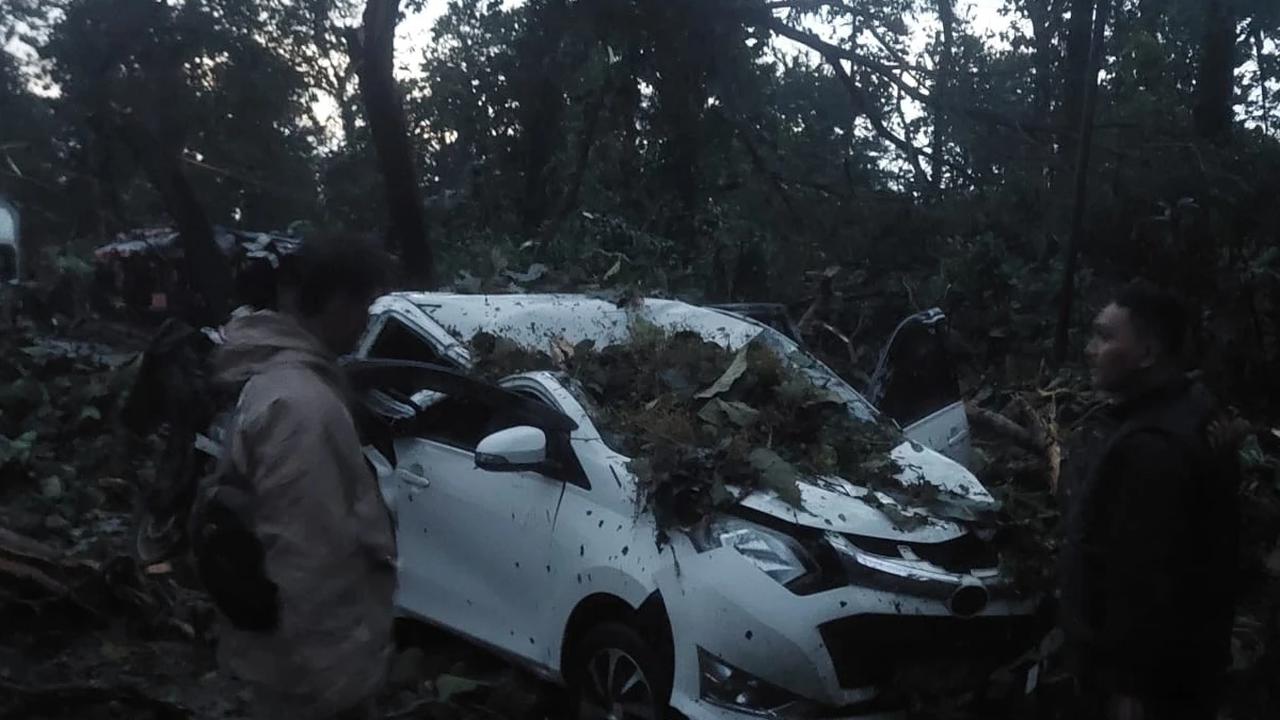 Viral Pohon Tumbang Tutup Jalan Pantura Batang