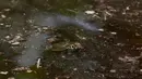 Kura-kura sungai berbintik kuning hidup di banyak daerah aliran sungai di Amerika Selatan bagian utara, termasuk Sungai Amazon dan Sungai Orinoco di Venezuela. (Orlando Junior/AFP)