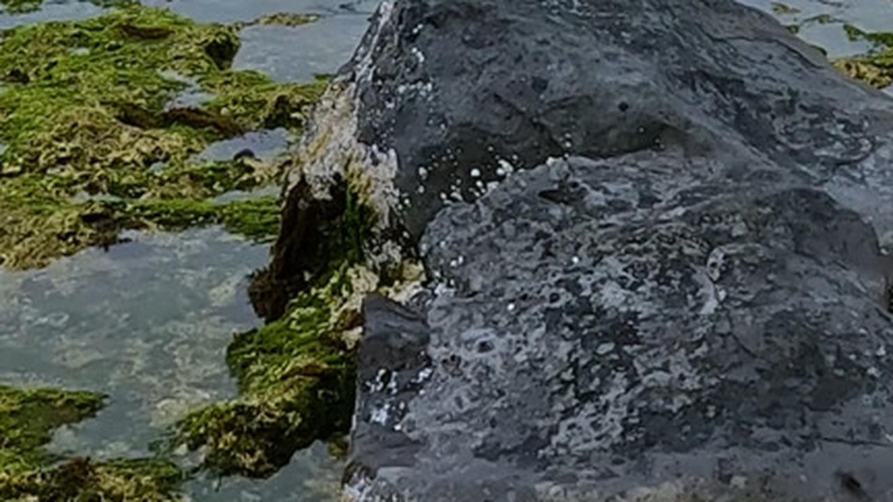 Menikmati Keindahan Pantai Rancabuaya di Garut, Bisa Lihat Hamparan Samudera dari Atas Tebing