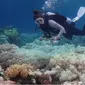 The Great Barrier Reef (Australian Research Council of Excellence For Coral Reef Studies)