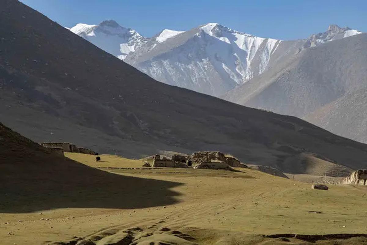 Tren Sewa Teman Naik Gunung di China, Makin Tampan Bayarannya Makin Mahal