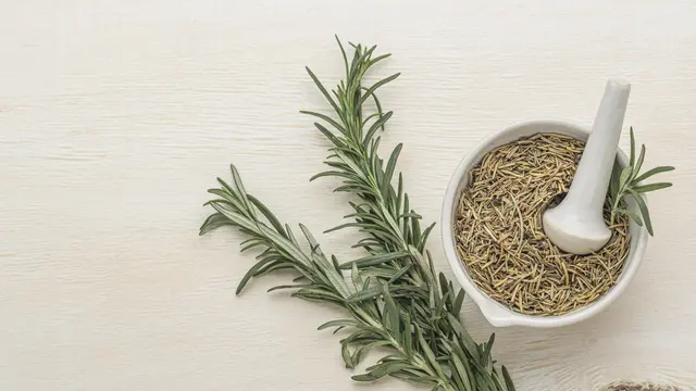 Ilustrasi daun Thyme