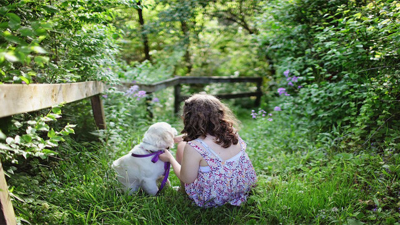 4 Oktober Hari Binatang Sedunia dan Kepedulian Kita pada Kesejahteraan Mereka