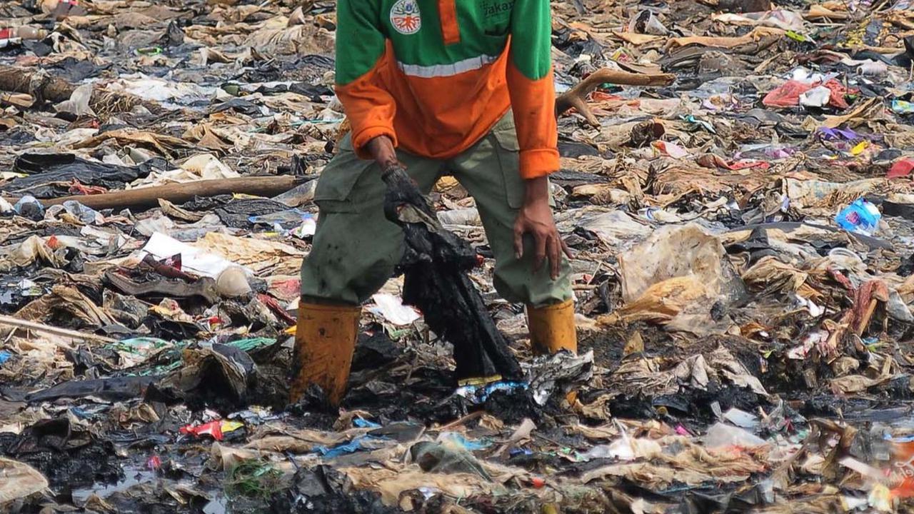 FOTO: Viral di Medsos, Ini Penampakan Tumpukan Sampah di Pantai Mangrove Muara Angke yang Bikin Miris