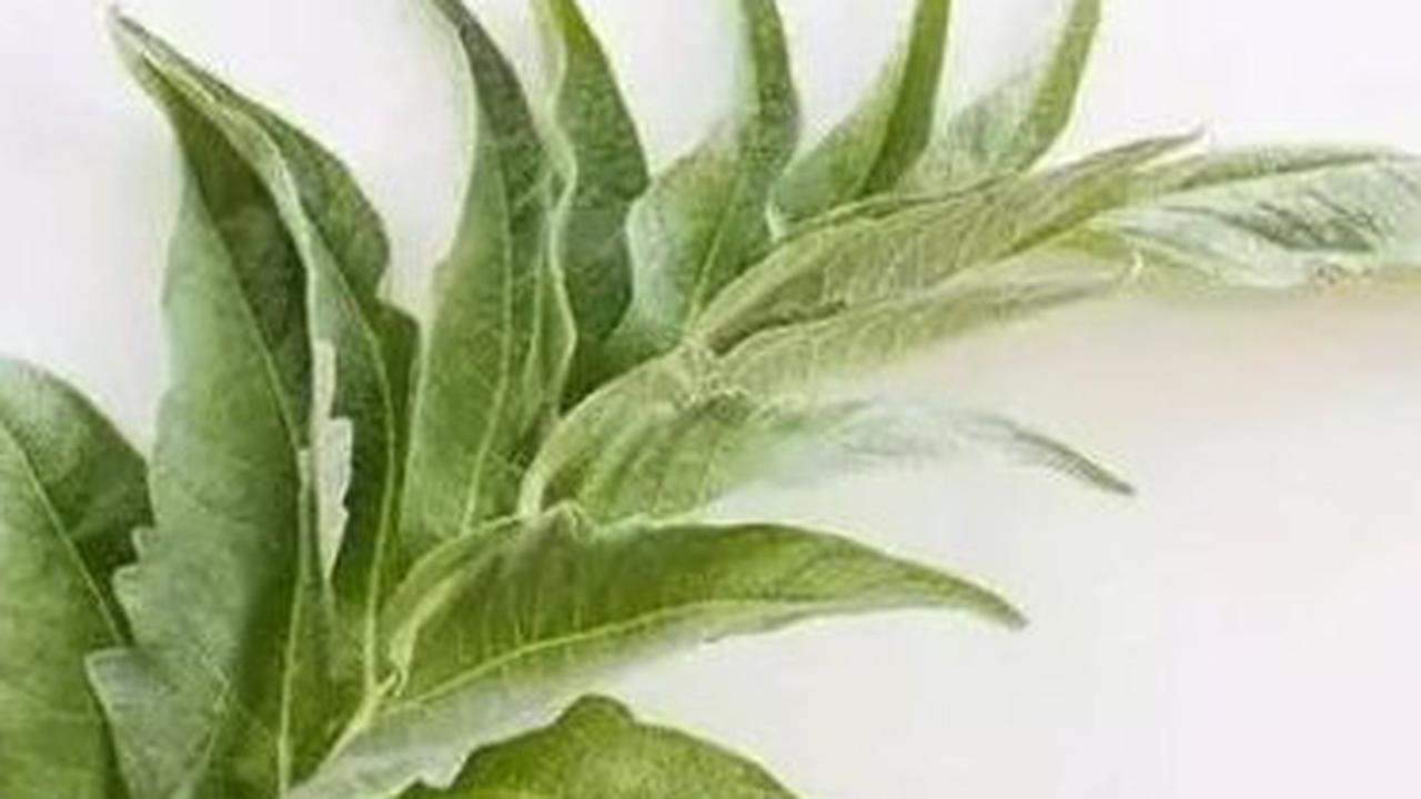 Artichoke. (foto: Pinterest/Daily Li).