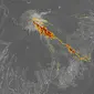 Foto satelit Erupsi Gunung Semeru 4 Desember 2021. (Foto: earthobservatory.nasa.gov via Solopos.com)