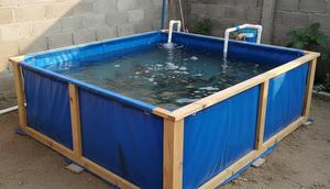 Kolam Terpal Rakitan Kotak merupakan salah satu ide ternak lele di lahan sempit dan kering (Gemini AI)