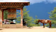 5 Rekomendasi Wisata Wellness di Bhutan bagi Para Pencari Ketenangan