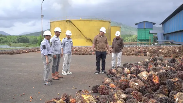Era Baru Agribisnis: Cara PT BGMPA Modernisasi Operasi dan Dorong Transparansi Harga Sawit