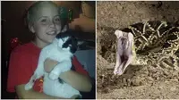 Lindungi Tuannya, Kucing Pemberani Lawan Ular Derik Seorang Diri