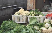 Berkat Modal dan Kredit BRI, Denyut Ekonomi Desa Sumowono Kian Bergeliat dari Pasar Sayur hingga UMKM Digital