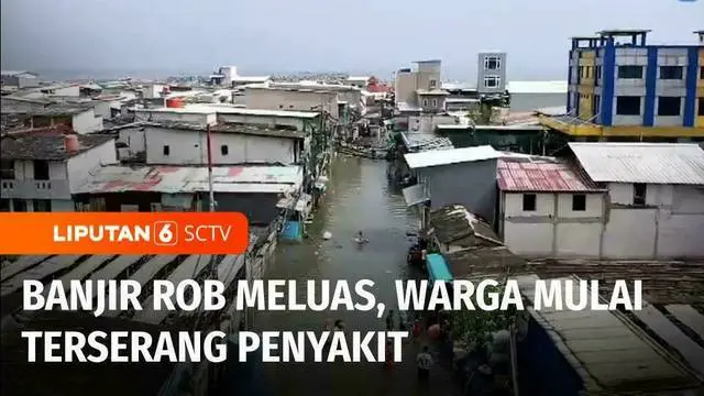VIDEO: Banjir Rob Makin Tinggi, Warga Muara Angke Frustrasi