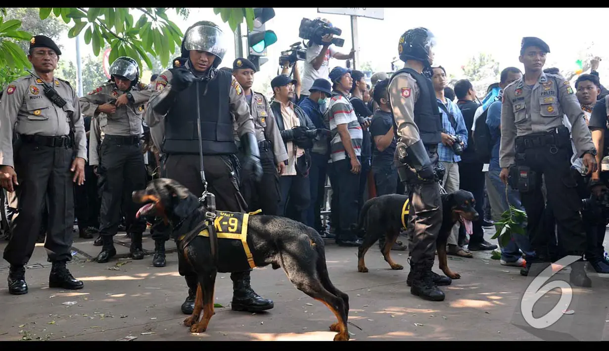 Anjing Polisi yang diberi nama K-9 ini memang spesial dilatih untuk meredam aksi anarkis, Jakarta, Kamis (21/8/2014) (Liputan6.com/Miftahul Hayat)