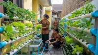 7 Ide Kebun Sayur Hidroponik untuk Ibu PKK, Mudah Dibuat dan Panen Bisa Dibagikan