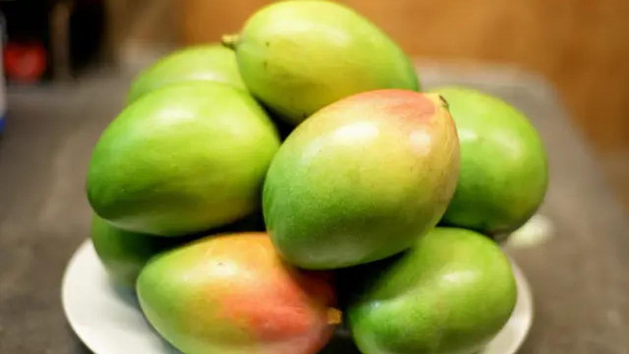 8 Pohon Buah yang Cepat Panen untuk Kebun Rumah Anda