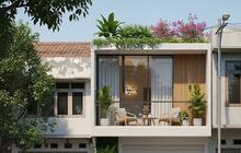 7 Rekomendasi Tanaman Hias Cantik untuk Balkon yang Tidak Mudah Layu di Bawah Sinar Matahari