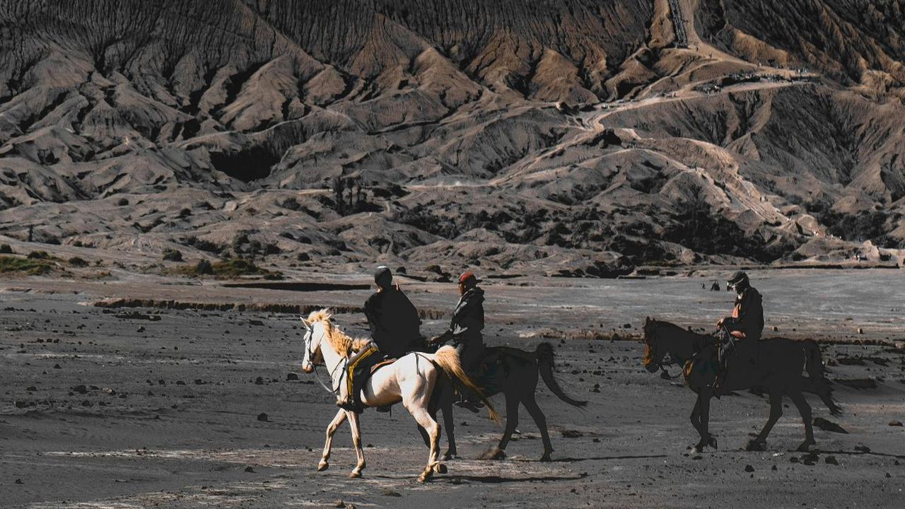 Bromo adalah nama sebuah gunung yang berlokasi di Kabupaten Probolinggo, Jawa Timur. Gunung Bromo adalah bagian dari Taman Nasional Bromo Tengger Semeru yang terkenal di Indonesia. Menurut sejarah, Gunung Bromo terbentuk dari letusan dahsyat Gunung Tengge