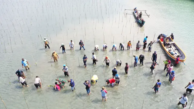 Penuhi Mandat Presiden, BRGM akan Gencarkan Restorasi Gambut dan Rehabilitasi Mangrove di Tahun 2022