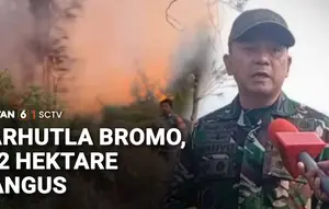 Karhutla Bromo Meluas, 742 Hektare Lahan Hangus