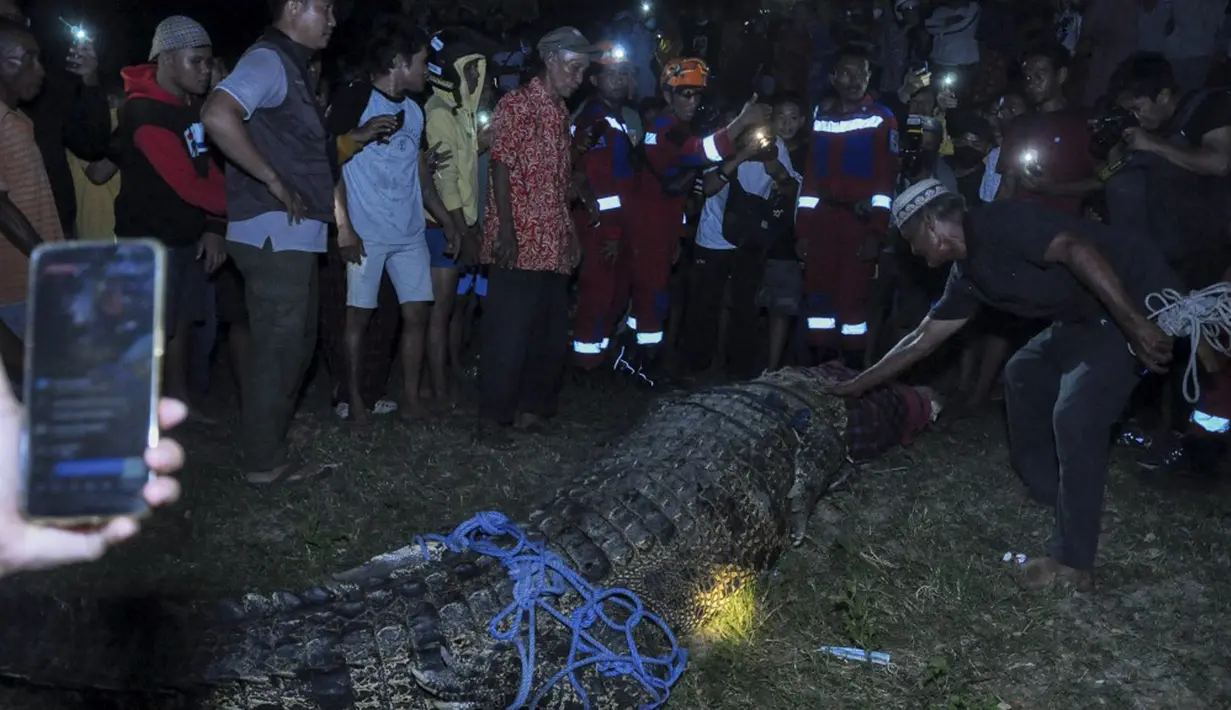 Warga membebaskan seekor buaya dari ban yang tersangkut pada lehernya selama sekitar lima tahun sebelum dilepaskan ke sungai di Palu, Sulawesi Tengah, 7 Februari 2022. Pelepasan buaya dilakukan oleh petugas BKSDA Sulteng, Damkar Kota Palu, serta warga sekitar. (MUHAMMAD RIFKI/AFP)