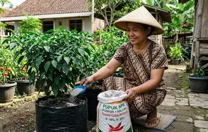 12 Cara Mengatasi Cabai yang Banyak Daun Tetapi Tidak Berbuah, Perhatikan Nutrisi