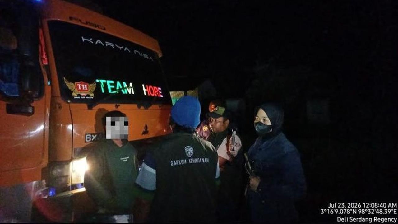 Kemenhut Bongkar Distribusi 598 Kayu Ilegal di Deli Serdang, Begini Modusnya
