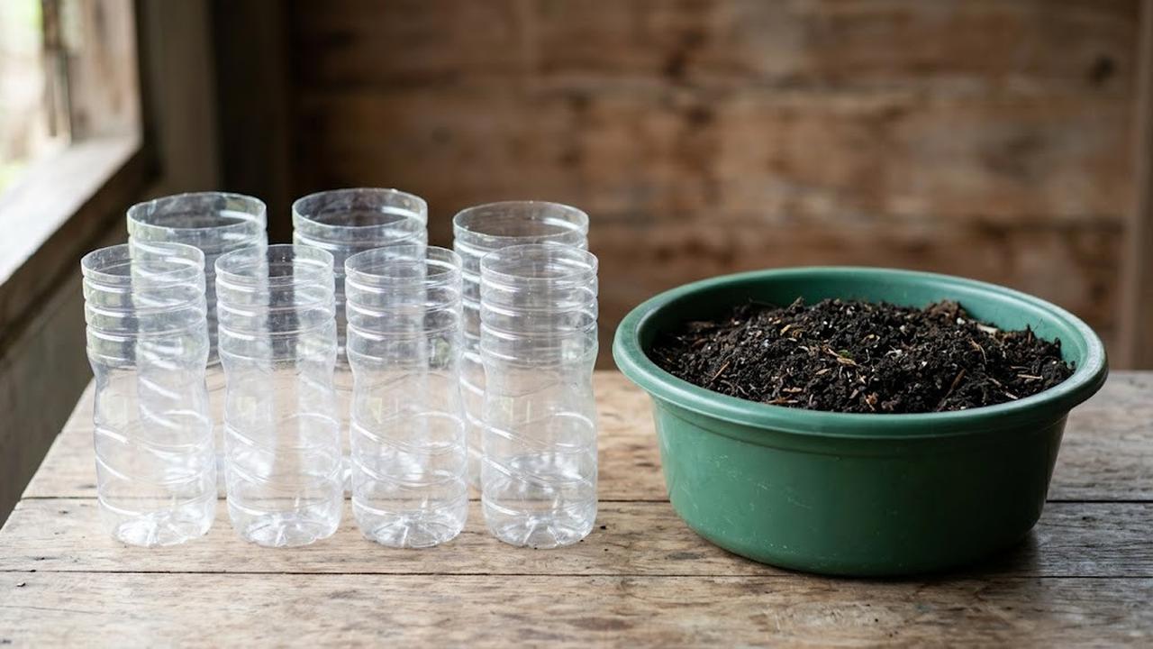 Botol Plastik Bekas dan Media Tanam