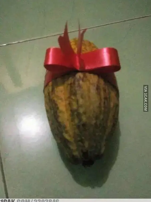 10 Potret Kado Nyeleneh untuk Hari Valentine Ini Bikin Pacar Kesal