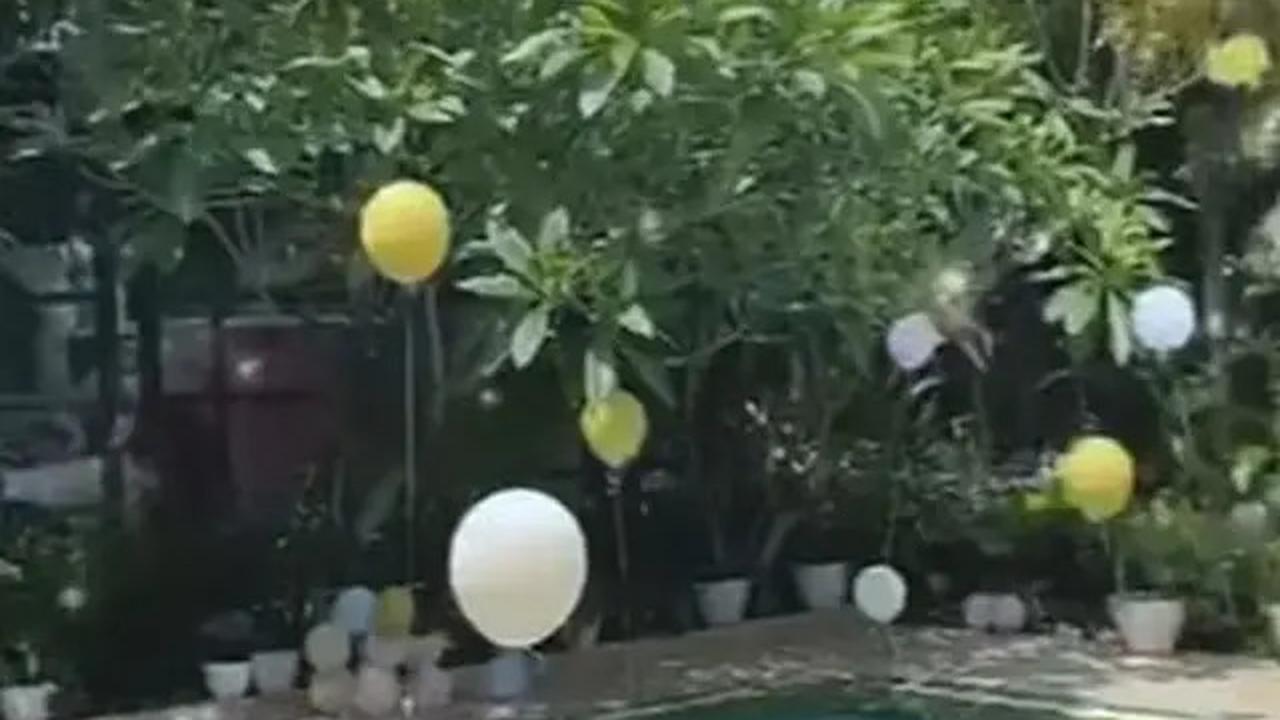 7 Potret Taman Rumah Syahrini di Bogor yang Asri, Banyak Spot Estetik