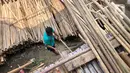 Perajin memilah bambu yang biasa digunakan sebagai tiang bendera di kawasan Manggarai, Jakarta, Kamis (6/8/2020). Bambu-bambu itu dijual dengan harga bervariasi, mulai dari Rp15ribu hingga Rp35ribu, tergantung ukurannya. (Liputan6.com/Immanuel Antonius)