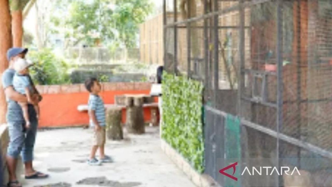 Pemkot Banjarmasin Genjot Pengembangan Taman Edukasi Satwa Jahri Saleh untuk Wisata Keluarga